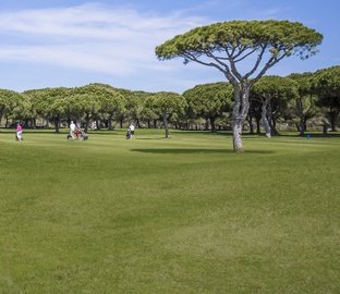 Golf  Vincci Costa Golf 4* Cádiz