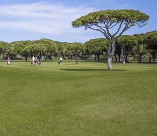 Golf  Vincci Costa Golf Chiclana
